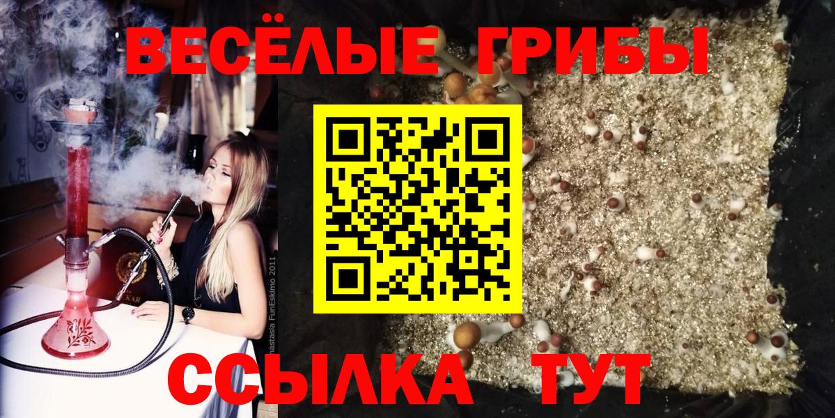 Псилоцибиновые грибы прущие грибы  Псилоцибиновые грибы Psilocybe  Каменск-Уральский  Вход с VPN 